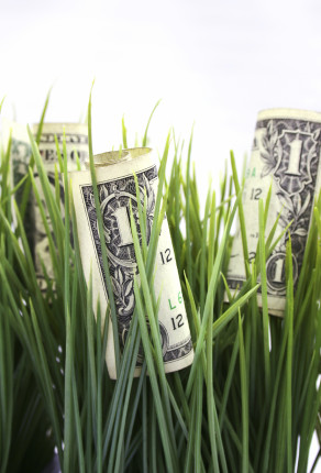 Green grass and one dollar bills