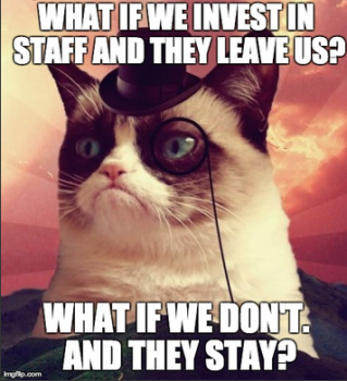 Meme Cat Invest in Staff
